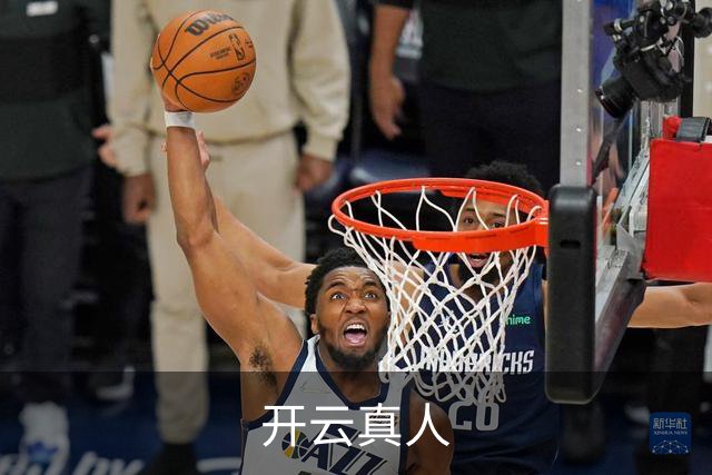 开云真人公司简介